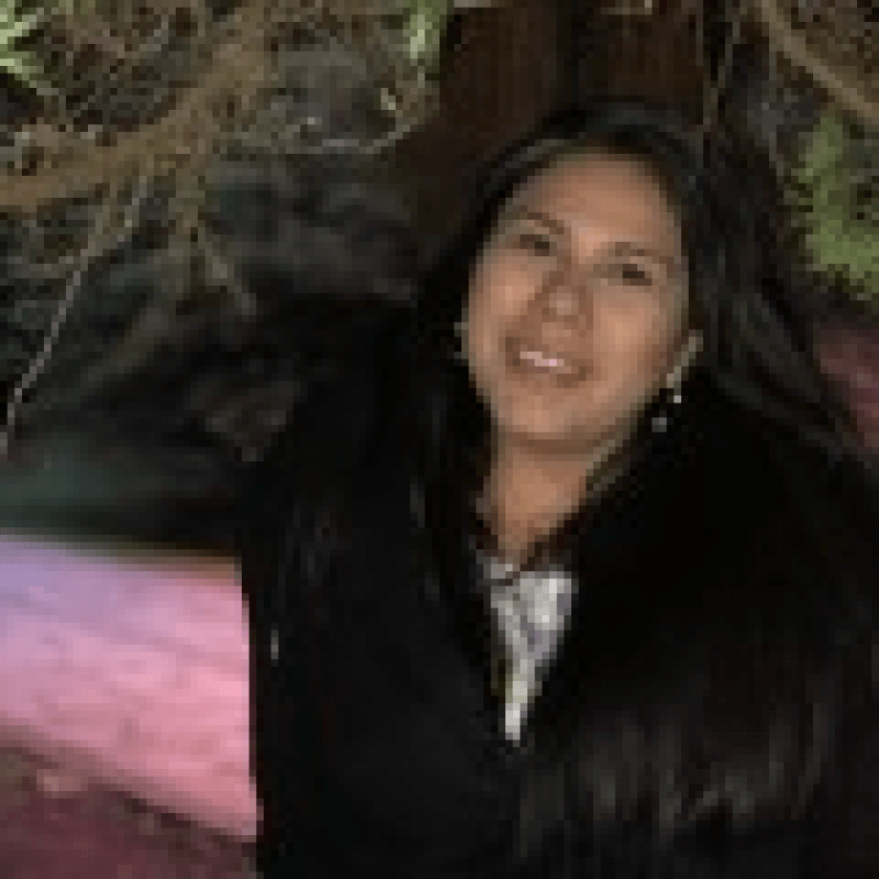 Daniele de Assis Santiago