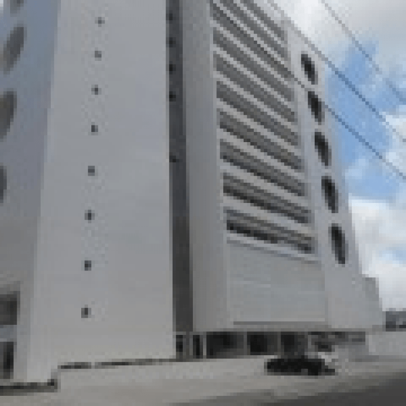 Renata Andrade Alves