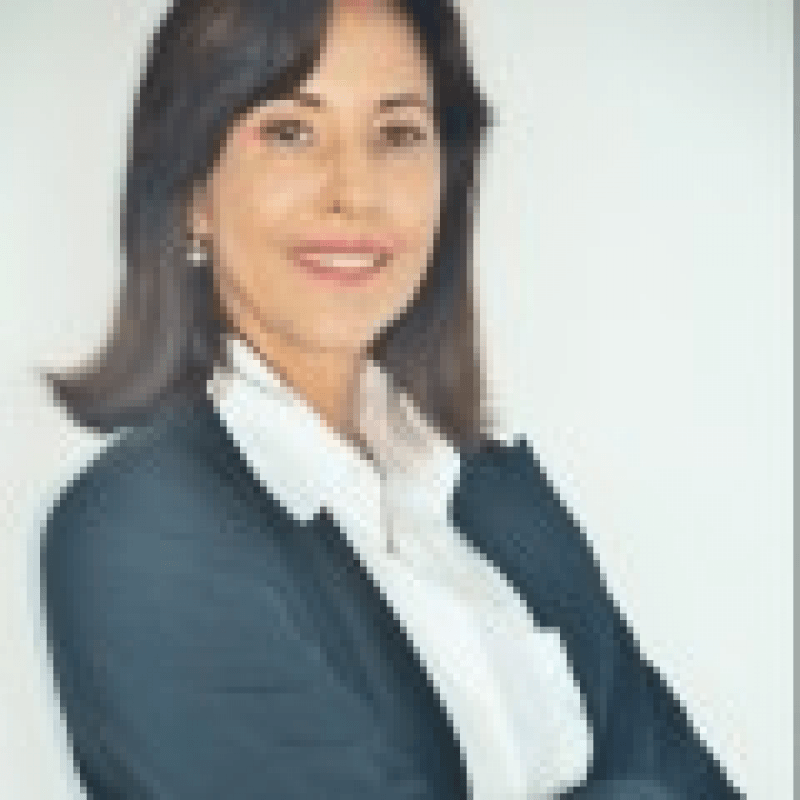 Advocacia  Karina G de S&aacute;