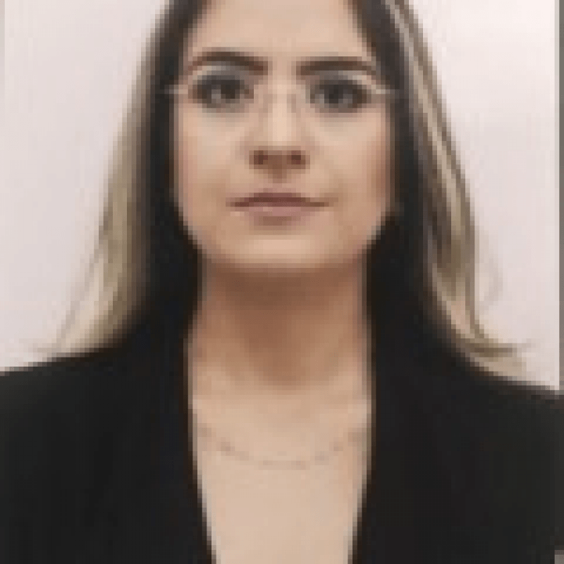 Larissa Mendes | Advocacia