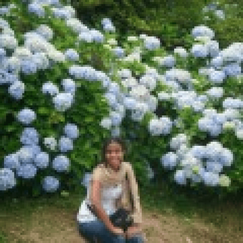 Advocacia Natalia Cordeiro