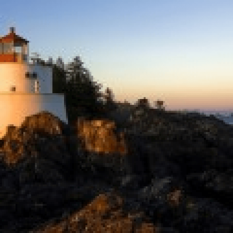 Luana Vasconcelos  Correspondente Juridico