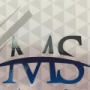 Ms Advocacia e Consultoria